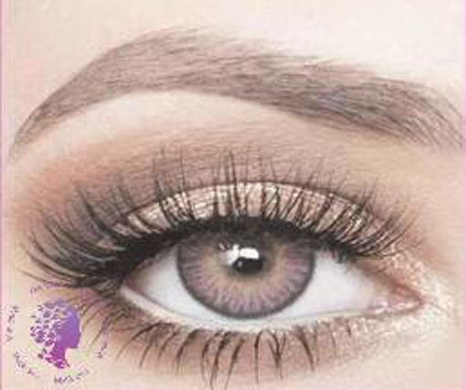 لنز اینوآر Violet 3 ا لنز اینوآر ساخت کره جنوبیcaramel brown