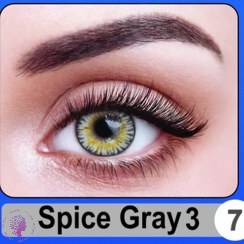 spice gray 3